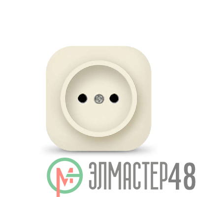 Розетка 1-м ОП 10А IP20 без заземл. сл. кость IONICH 1431
