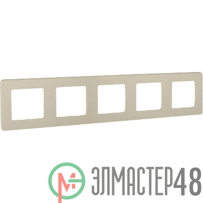 Рамка 5-м Inspiria сл. кость Leg 673971
