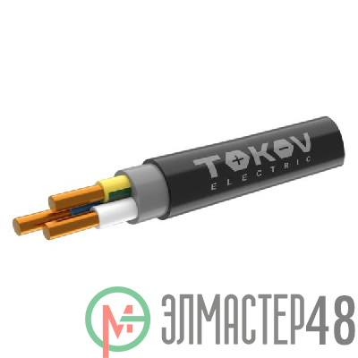 Кабель TOKOV ELECTRIC ППГнг(А)-HF 3х6 ОК (N PE) 0.66кВ (м) ТХМ00409116