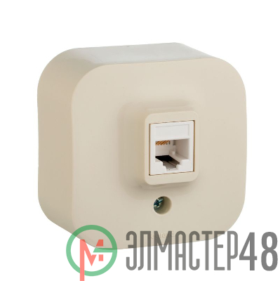 Розетка телефонная 1-м ОП Quteo RJ11 сл. кость Leg 782244
