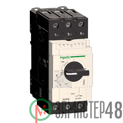 Выключатель авт. защиты двиг. P60 (48-65А) SchE GV3P65