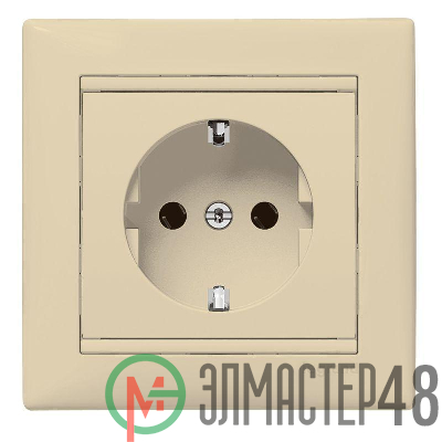 Розетка 1-м СП Valena в сборе с заземл. сл. кость Leg 774323