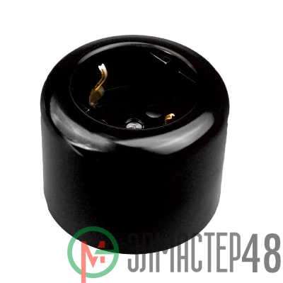 Розетка двухполюсная с ЗК R пластик черн. Bironi R1-101-23