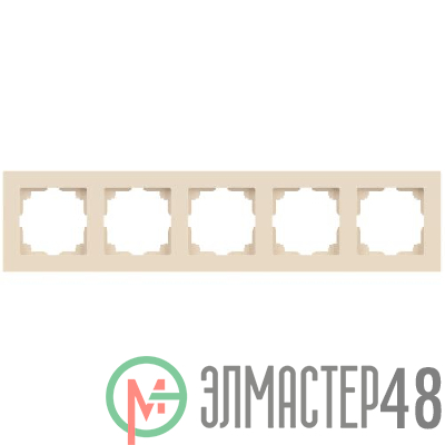 Рамка для розеток и выключателей Accent 6-505-02 на 5 постов СУ сл.кость Intro Б0063774