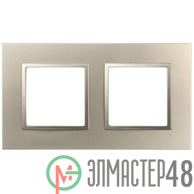 Рамка 2-м Elegance 14-5012-04 Classic шампань Эра Б0060579