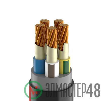 Кабель ППГнг(А)-FRHF 5х50 МК (N PE) 0.66 (м) Кабэкс ТХМ00214543