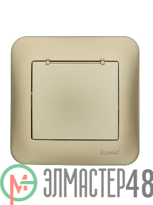 Розетка 1-м СП ASTI 16А IP20 с заземл. с крышкой термопласт в сборе золото. LEZARD 7081-3636-123В