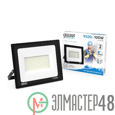Прожектор светодиодный Elementary LED 100Вт IP65 6500К черн. Gauss 613100100