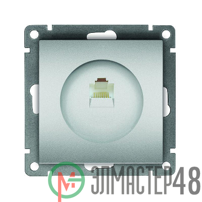 Розетка компьютерная 1-м СП Афина RJ45 кат.5E механизм серебр. Universal A0051-S