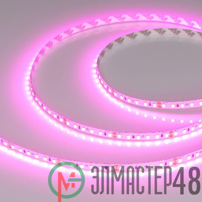 Лента светодиодная RT-A120-8mm 24V Magenta 9.6Вт/м IP20 2835 (уп.5м) Arlight 043381