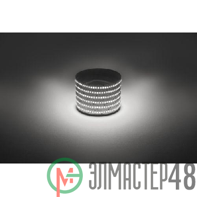 Лента светодиодная LS2835 -19.2-240-12-4000K-IP20-1 year-5m нейтр. бел. (уп.5м) Эра Б0059907