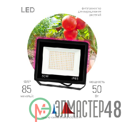 Прожектор для растений FITO-50W-RB-LED 50Вт IP65 красно-синего спектра ЭРА Б0046368