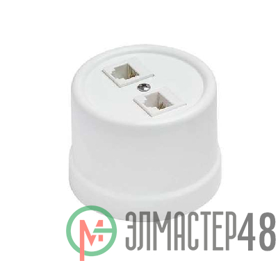 Розетка компьютерная 2-м ОП Лизетта RJ45 10А IP20 ретро кат.5E керамика бел. Bironi B1-302-01