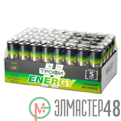 Элемент питания алкалиновый AA/LR6-40 bulk Eco (уп.40шт) Трофи Б0027815
