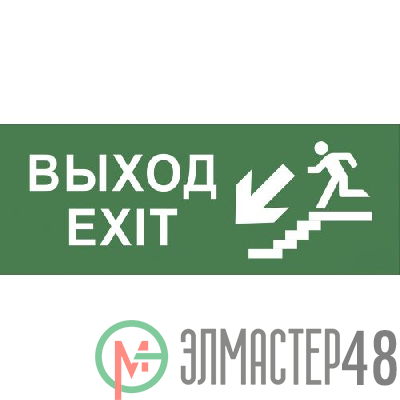 Этикетка самоклеящаяся 350х130мм "Выход/лестница вниз/фигура" SSA-101 INFO-SSA-109 ЭРА Б0048478