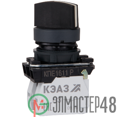 Переключатель КПЕ1611Р 1но+1нз ручка фикс 2поз IP65 черн. КЭАЗ 248268