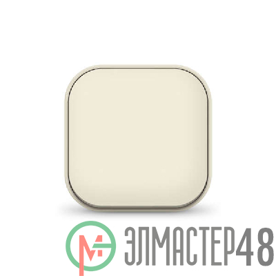 Выключатель 1-кл. ОП IP20 сл. кость IONICH 1423
