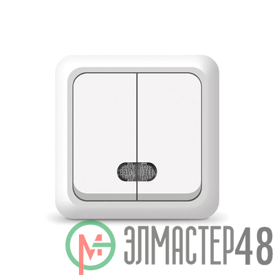 Выключатель 2-кл. ОП Олимп 10А IP20 с индик.бел. Universal О0123