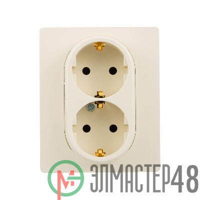 Розетка 2-м СП Etika 2К+З 16А с заземл. винт. зажимы в сборе сл. кость. Leg 672323