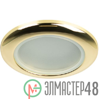 Светильник WR1 GD MR16 12В 50Вт IP44 зол. ЭРА C0043846
