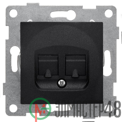 Розетка компьютерная + телефонная 2-м СП Bravo RJ45 + RJ12 механизм графит GUSI С10КТ-010