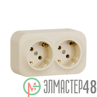Розетка 2-м ОП Quteo 16А IP20 250В 2х2P+E с заземл. без защ. шторок сл. кость Leg 782263