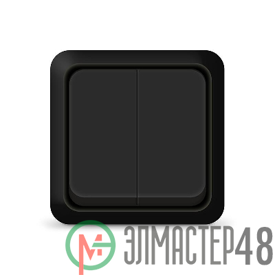 Выключатель 2-кл. ОП Олимп 10А IP20 черн. Universal 2213