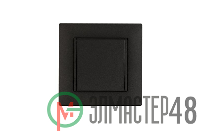 Розетка 1-м с крышкой Karea RIZZ STAR с заземл. дым. металлик Makel 88050029