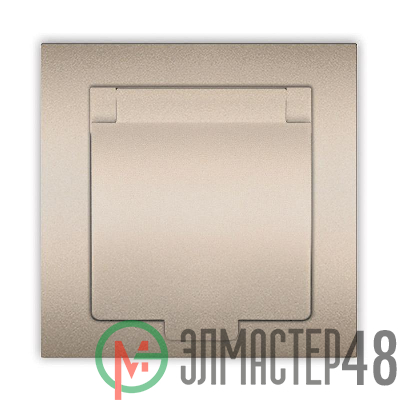 Розетка 1-м СП Афина 16А IP20 с заземл. с крышкой в сборе шампань Universal A0029-Br