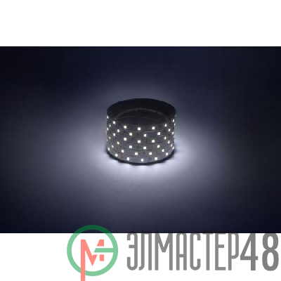 Лента светодиодная LS2835 -4.8-60-12-6500K-IP20-1 year-50m холод. бел. (уп.50м) Эра Б0059923