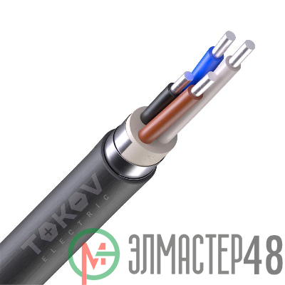 Кабель TOKOV ELECTRIC АВБШв 4х25 ОК (N) 0.66кВ (м) УТ000030757