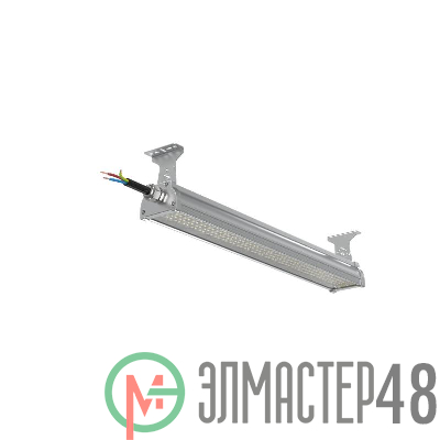 Светильник светодиодный ДСП WP 24 C 60W VW 840 L600 EL SI CL 680х100х85мм 60Вт 4000К IP66 пылевлагозащ. Русский Свет 27072423960