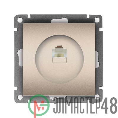 Розетка компьютерная 1-м СП Афина RJ45 кат.5E механизм шампань Universal A0051-Br