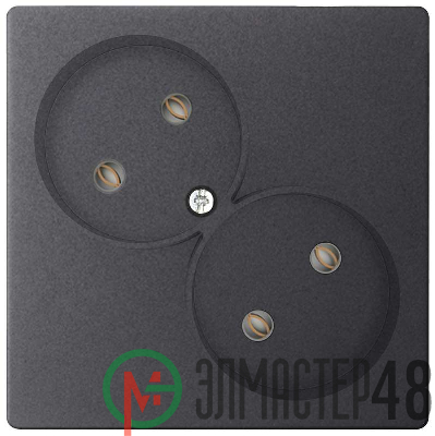 Розетка 2-м СП Simon24 16А IP20 2х2P без защ. шторок механизм графит Simon 2450457-038
