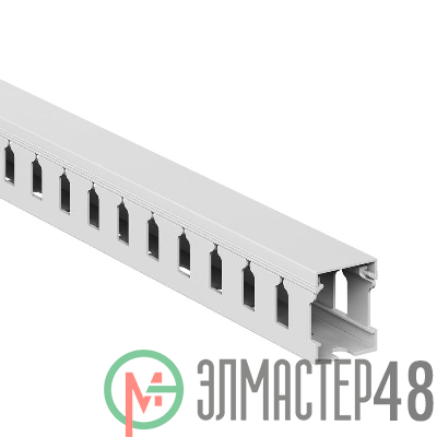Кабель-канал перфорированный 25х30 L2000 T1 G DKC 00126RL