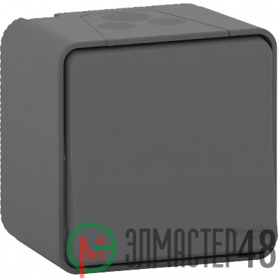 Переключатель ОП Mureva Styl IP55 антрацит SchE MUR35021