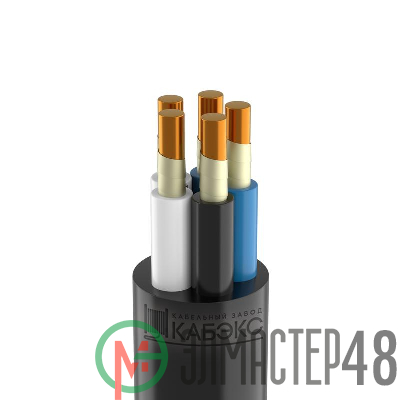 Кабель ВВГнг(А)-FRLSLTx 5х4 (N PE) 0.66кВ (м) Кабэкс ТХМ00070178