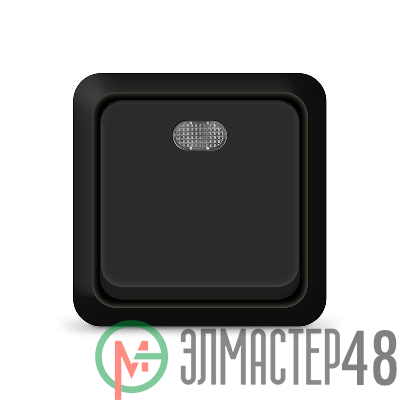 Выключатель 1-кл. ОП Олимп 10А IP20 с подсветкой черн. Universal 2212