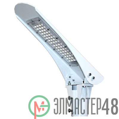 Светильник светодиодный консольный ДКУ 01-050-001 (294) "Чайка Оптима" 6500К/5000лм КССШ УХЛ1 IP65 бел. (инд.упак.) Элетех 1030450294